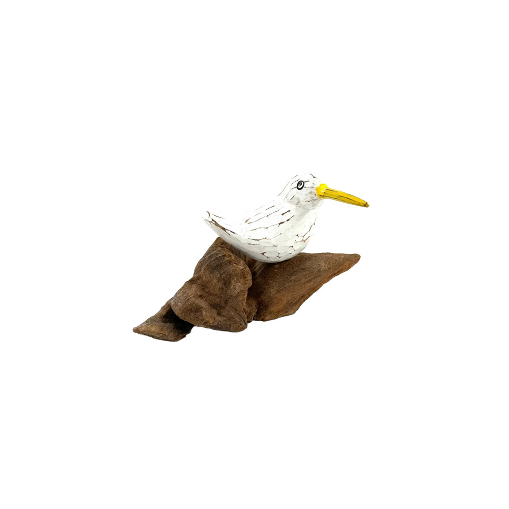 Möwe Sandra