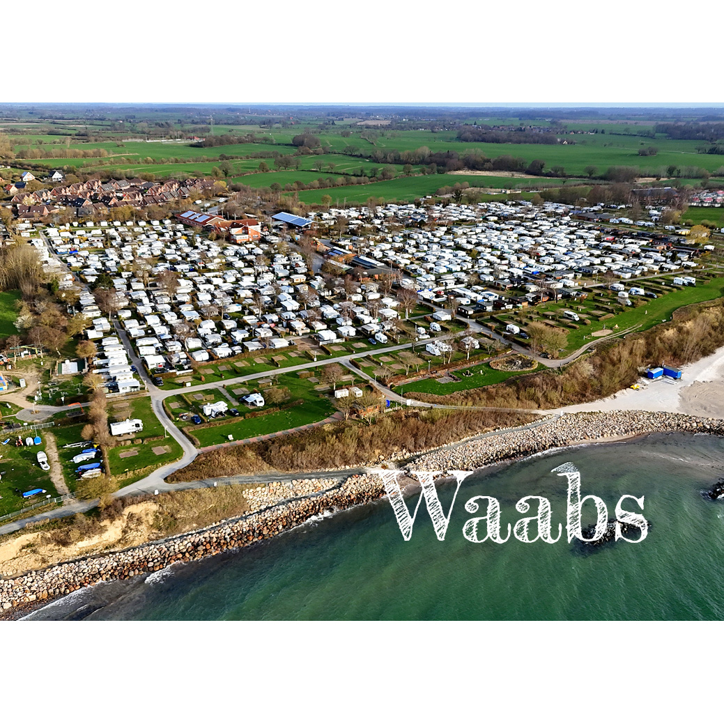 Magnet "Waabs"