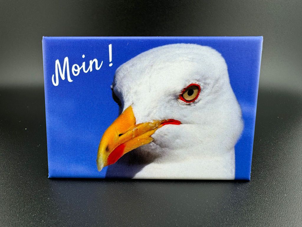 Magnet "Möwe"