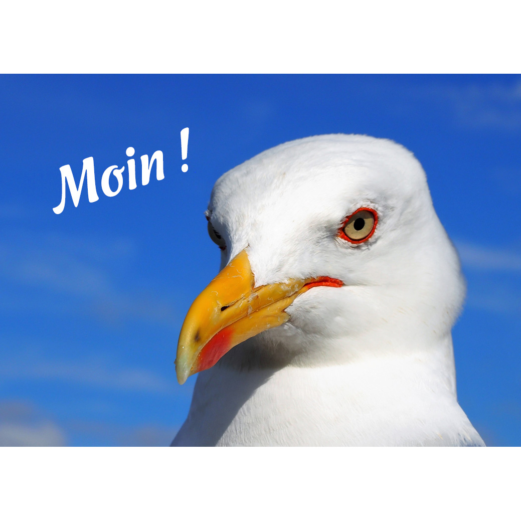 Magnet "Möwe"