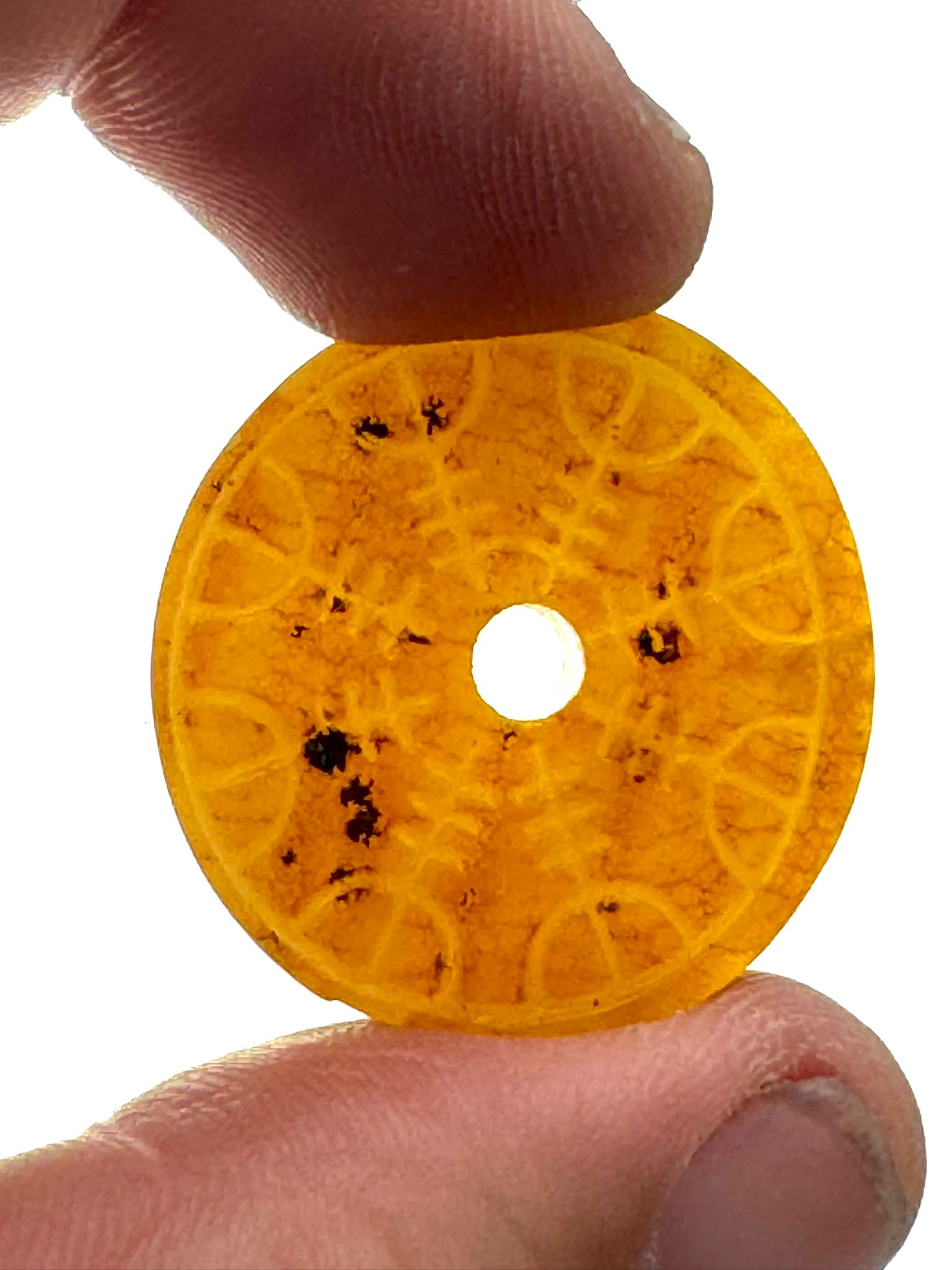 Bernstein Donut Vegvisir