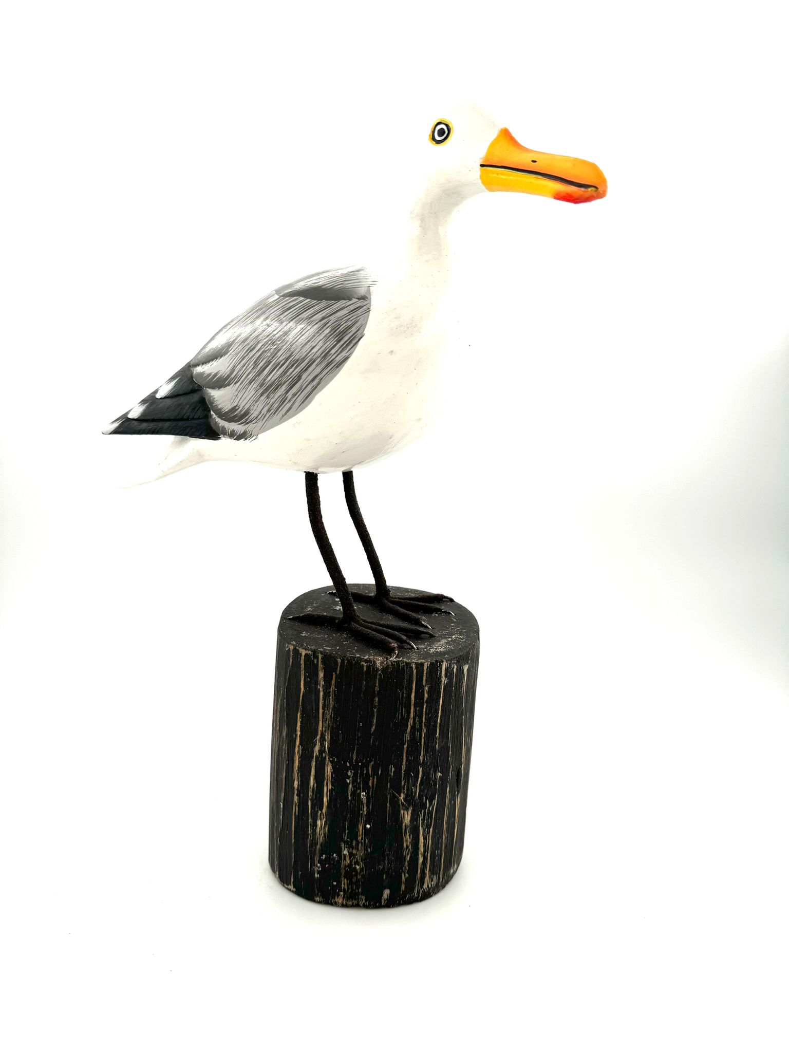Möwe Josie